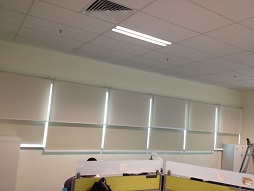 office blinds
